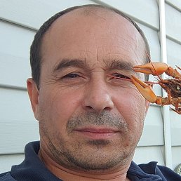 �������, ������, 50 ���