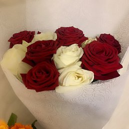 �������, �������, 46 ���