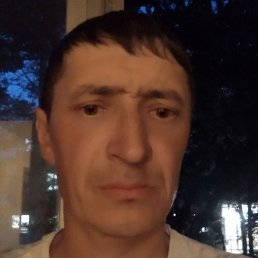 �����, ���, 42 ����