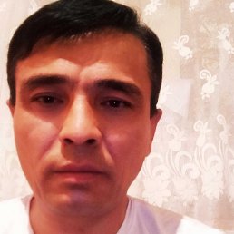 ����, �������, 51 ���