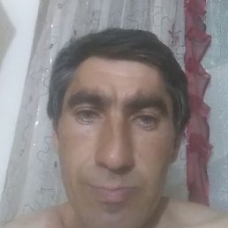 �����, ����������, 44 ����