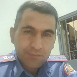 �����, �������, 37 ���