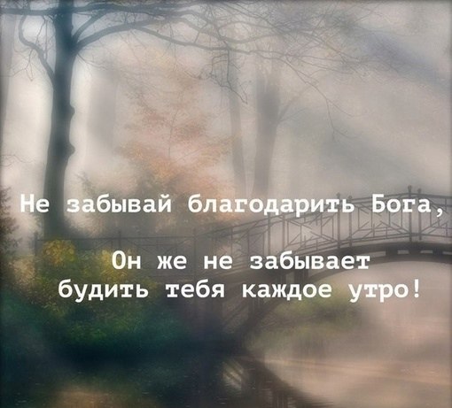 ☆ ☆ - 19  2023  08:34