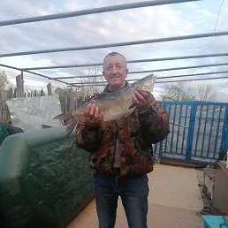 �������, ������, 58 ���