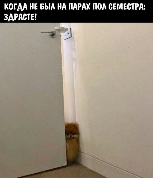    - 2  2023  13:23