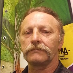 �����, ������, 59 ���