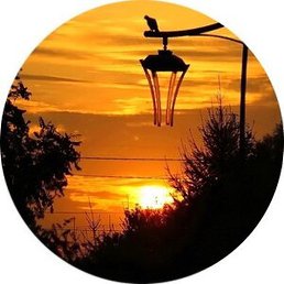 ��������, ������, 49 ���