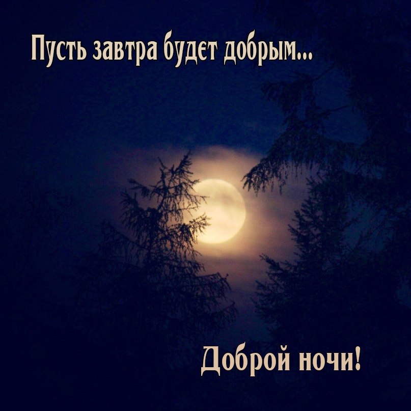   - 3  2023  22:28