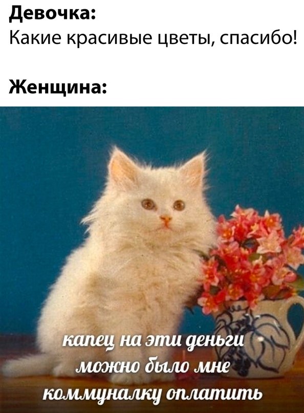   - 4  2023  22:47