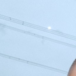 Aleksei, �������, 23 ����