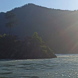 ��������, ������, 71 ���