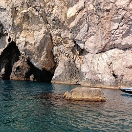 ����, �����������, 37 ���