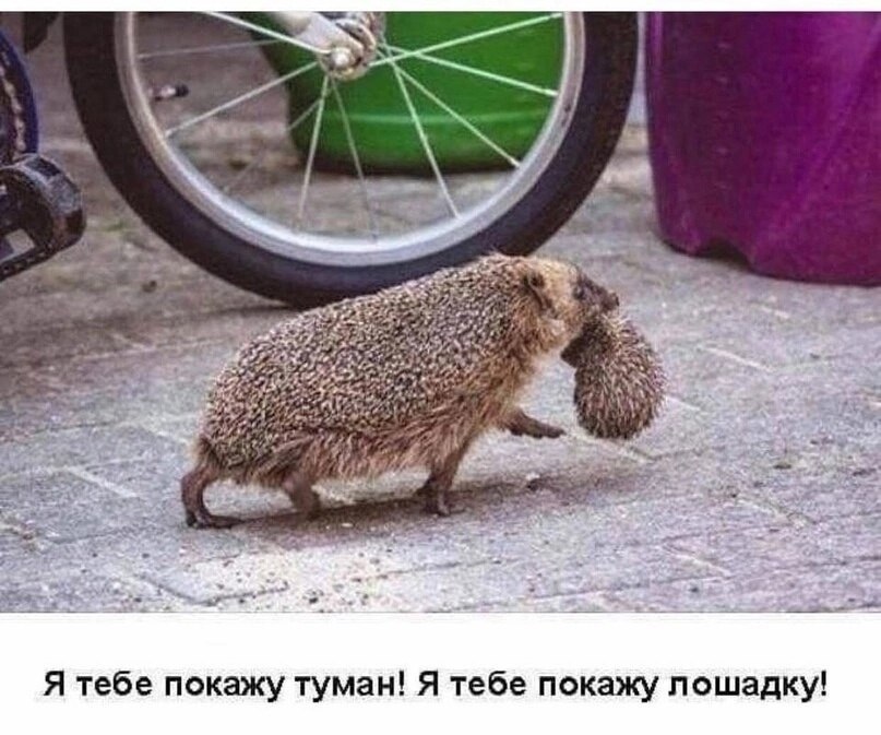  - 26  2023  11:36
