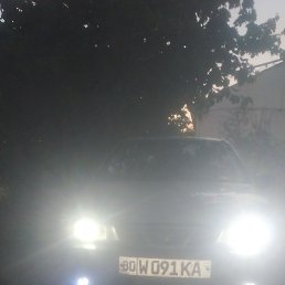 Sherxon Bek, �����, 33 ����