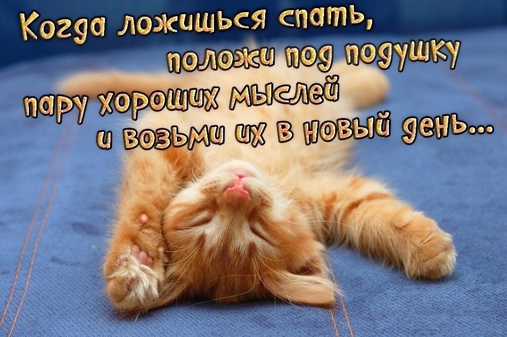  - 8  2023  22:11