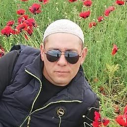 �����, ������, 37 ���