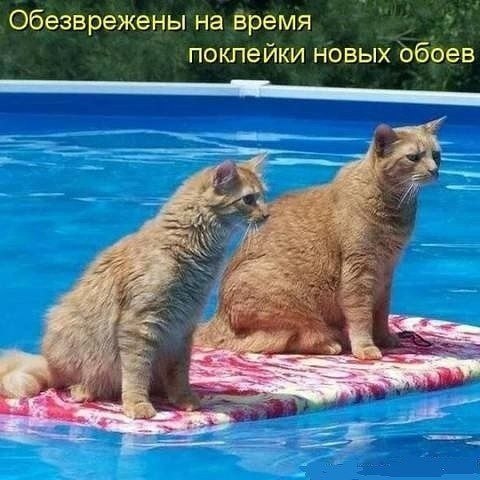    - 25  2023  11:32