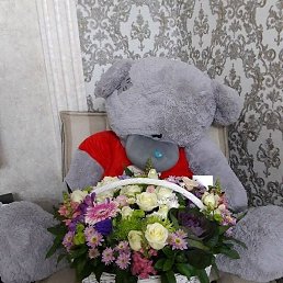 Zaya, �����, 31 ���