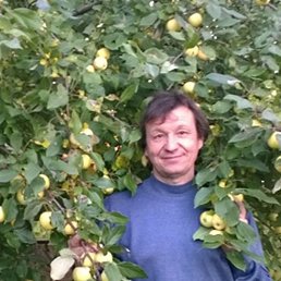 ���������, ������, 62 ����