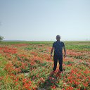 ���� �����, ������ ��������, 32 ���� - ��������� 8 ���� 2023 � ������ ���� ����������