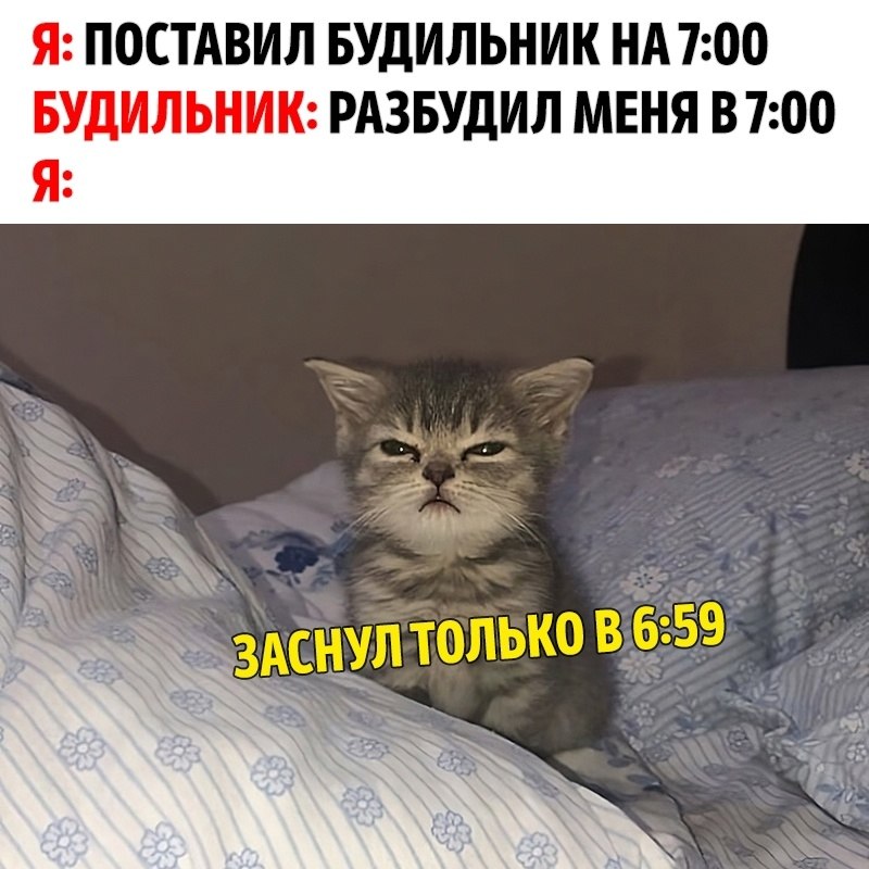   : ,      .