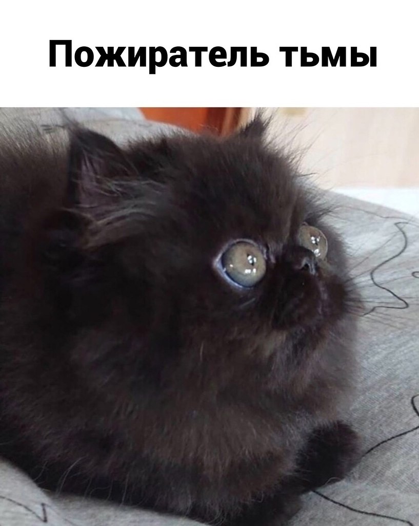    - 3