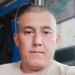 ���������, ������, 44 ����