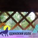 ���� ������, ������, 48 ��� - ��������� 1 �������� 2023 � ������ ���� ����������