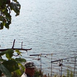 ����, ������, 61 ���