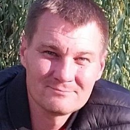 Vitalik, �����������, 41 ���