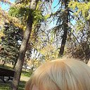 ���� �������, ������������, 49 ��� - ��������� 18 ������� 2023 � ������ ���� ����������