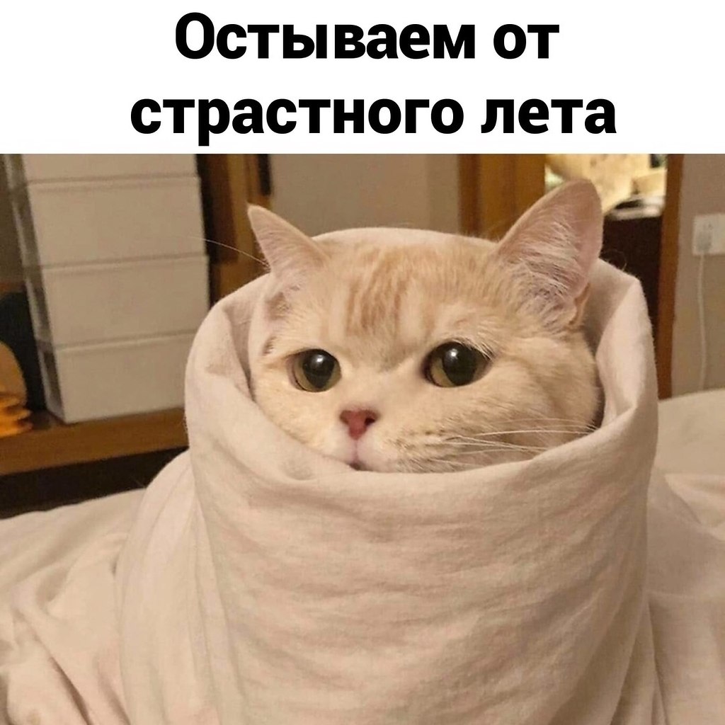   - 2