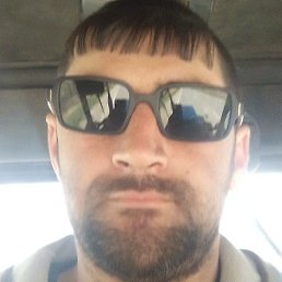 ������, ����������, 37 ���