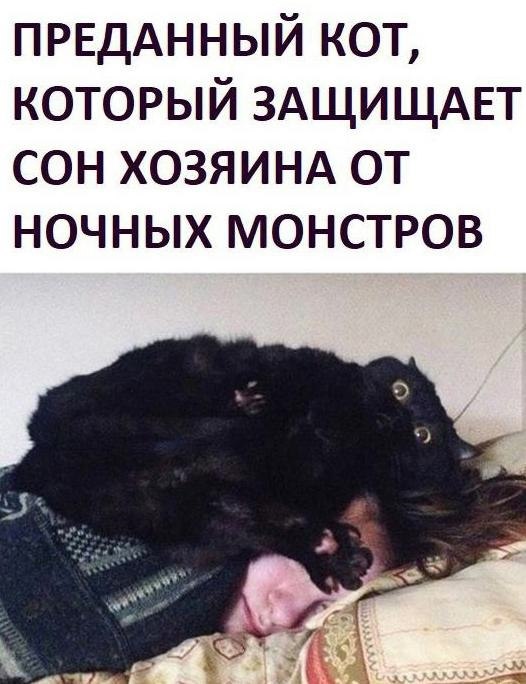  ,   ).     )