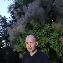 ���� �������, ������, 47 ��� - ��������� 11 ������� 2023