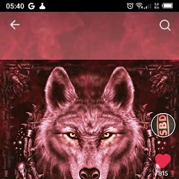 �����, �����������, 47 ���