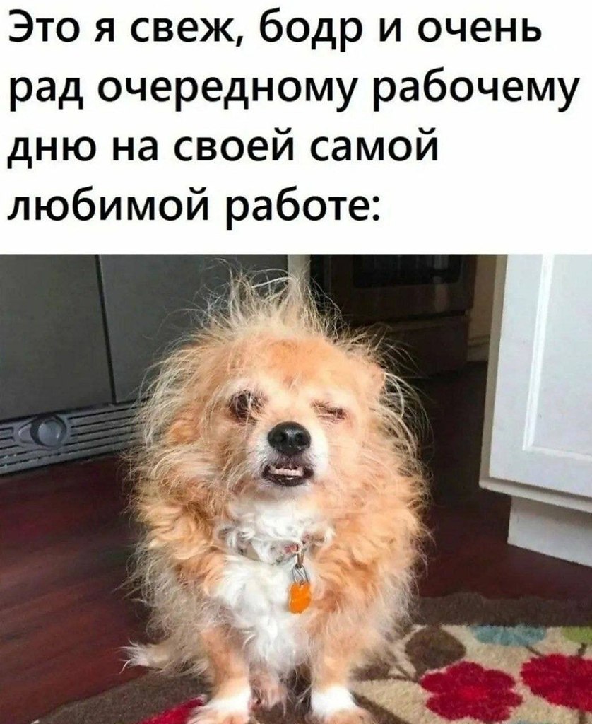  ... - 5  2023  19:15