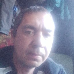 ������, ���, 40 ���