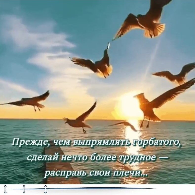 ~ ~ ~ ~ ~ ~ ~ ~ ~ ~ ~ ~ ~ ~ ~