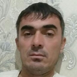 � � � � �, �������, 38 ���