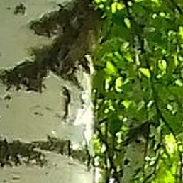 , , 54 