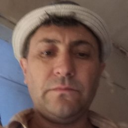 , , 43 
