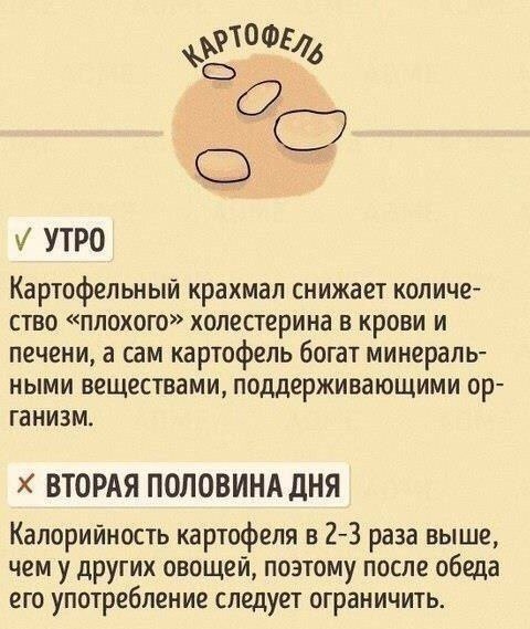  - 6