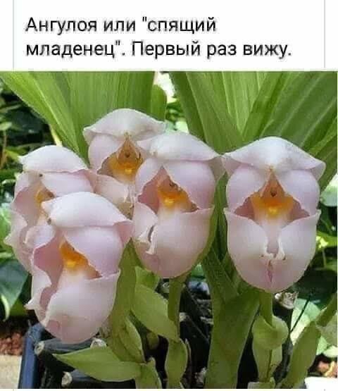  - 14  2023  20:03 - 4