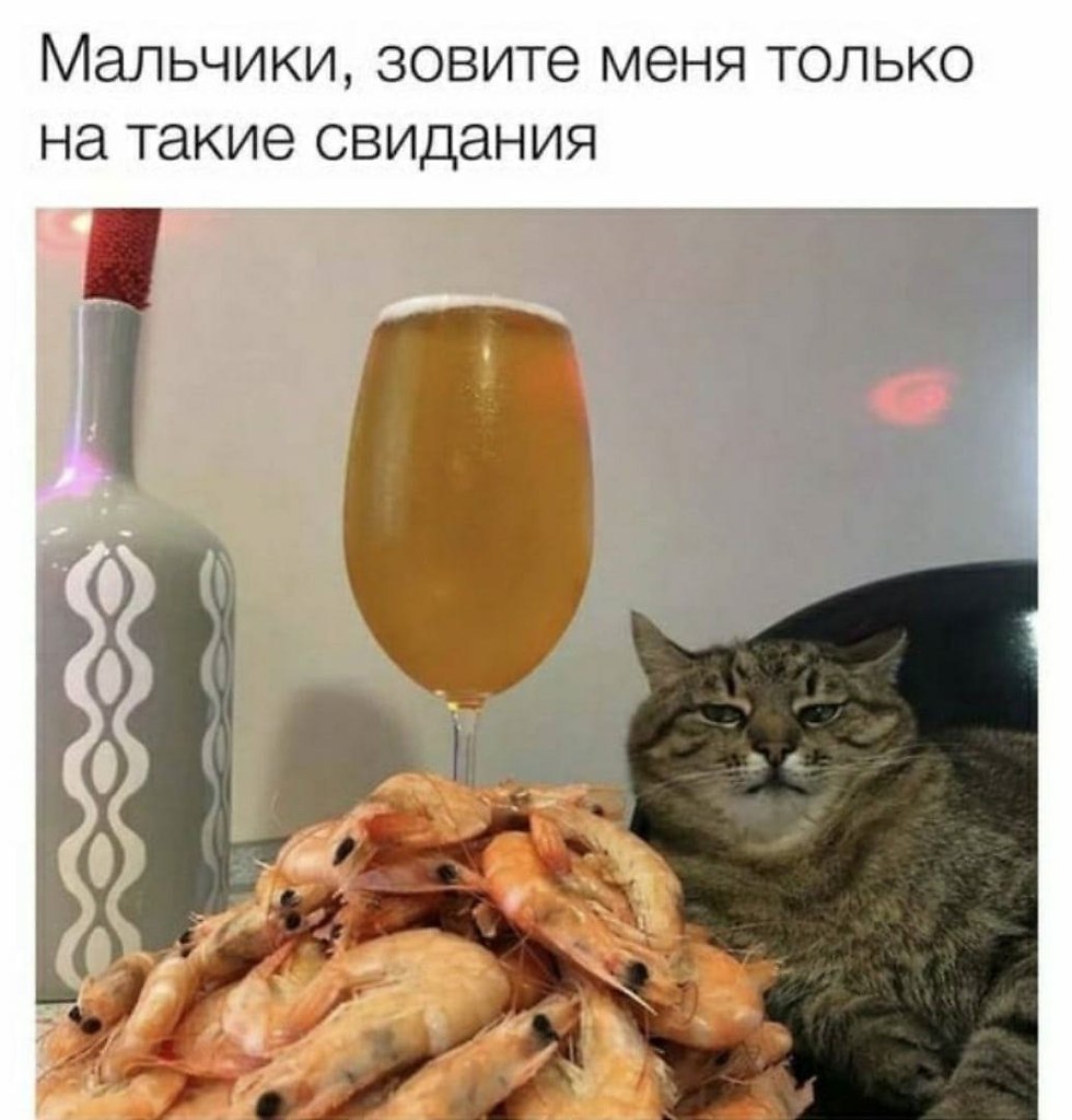    - 3  2023  11:31