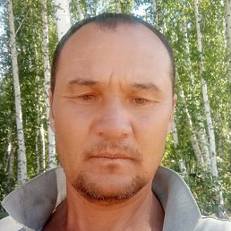 �����, ���������, 41 ���