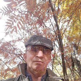 ����, �����������, 62 ����