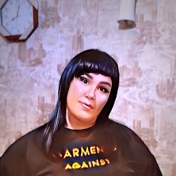 �����, ������, 41 ���