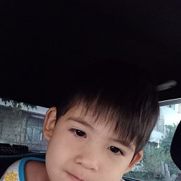 Habib, �����, 33 ����