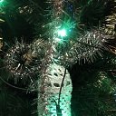 ���� �����, ������������, 25 ��� - ��������� 25 �������� 2023 � ������ ���� ����������